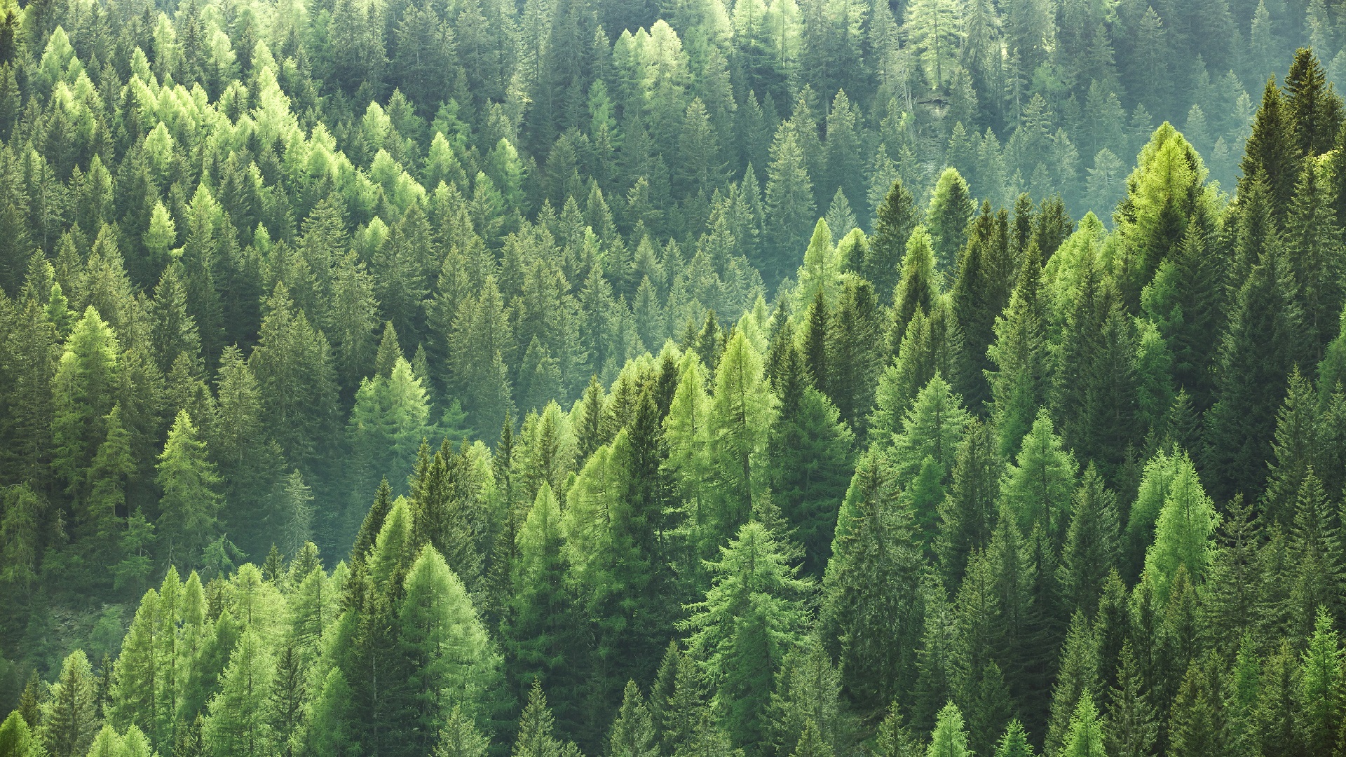 Spruce up your pop-ups with CSS 4 image